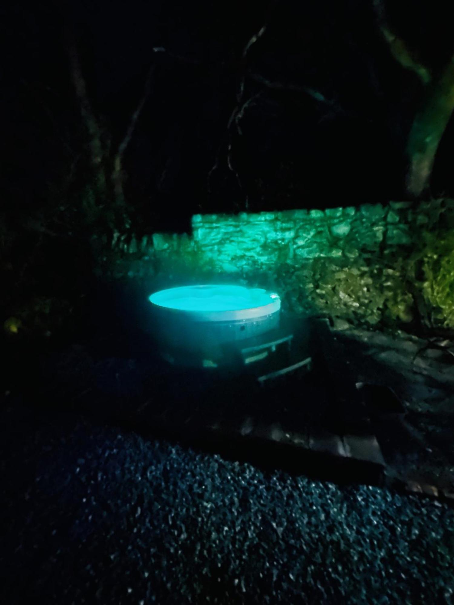 Tiny Romantic Retreat With Hot Tub On A Country Estate Near Cardigan Bay In Eryri Snowdonia Llanbedr  Exteriér fotografie