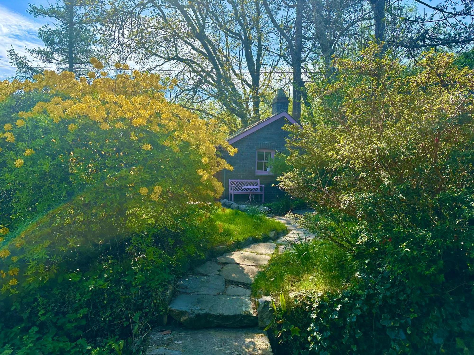 Tiny Romantic Retreat With Hot Tub On A Country Estate Near Cardigan Bay In Eryri Snowdonia Llanbedr  Exteriér fotografie